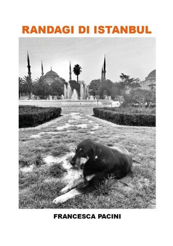 Randagi di Istanbul