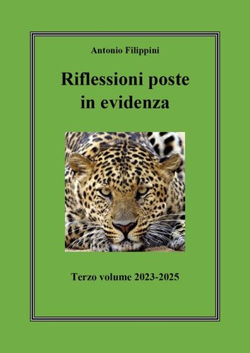 Riflessioni poste in evidenza