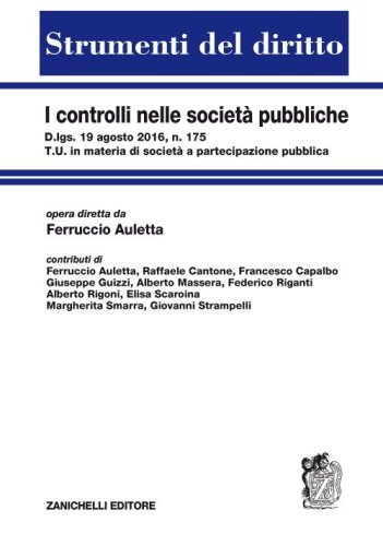 I controlli nelle societ&agrave; pubbliche