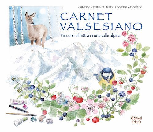 Carnet valsesiano. Percorsi affettivi in una valle alpina